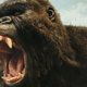 Fotograma de Kong